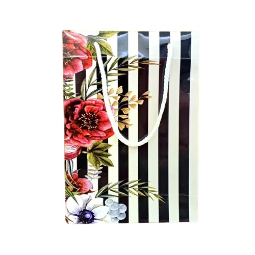 Printed Duplex Board Paper Bag