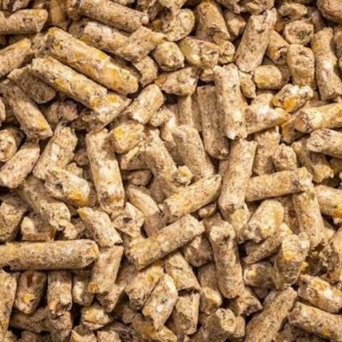 Cattle Feed