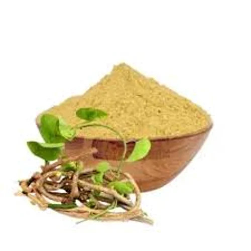 Giloy Powder