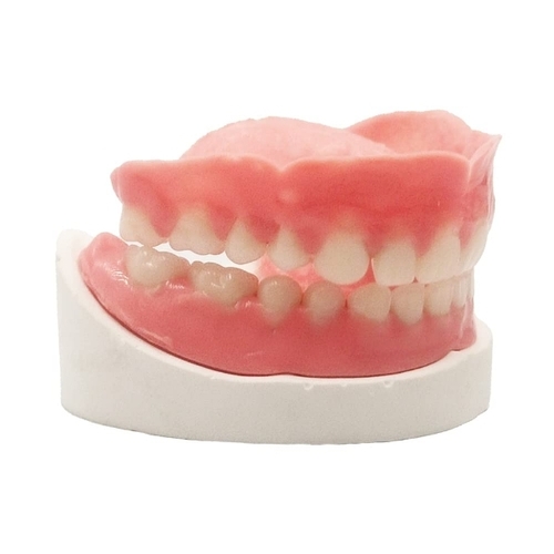 Artificial Teeth Set