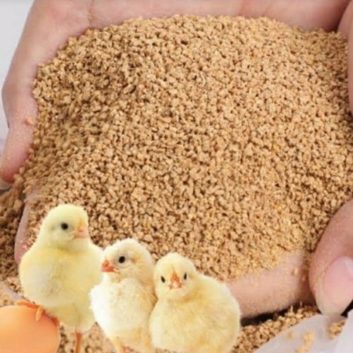 Premium Poultry Feed Mix