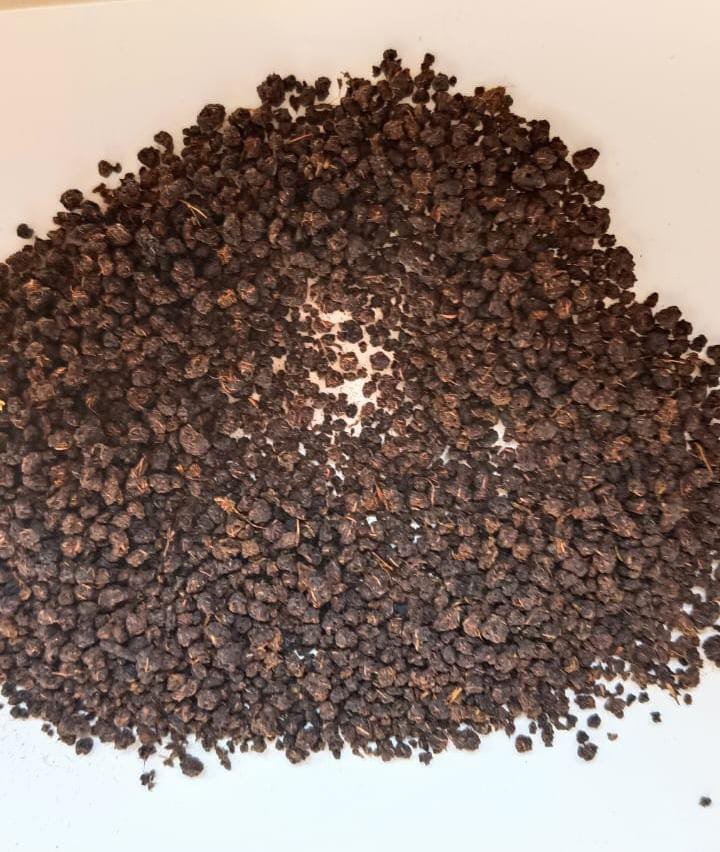 Export Quality Assam Tea