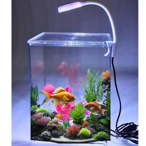 Fish Aquarium