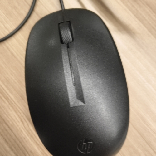 Mouse