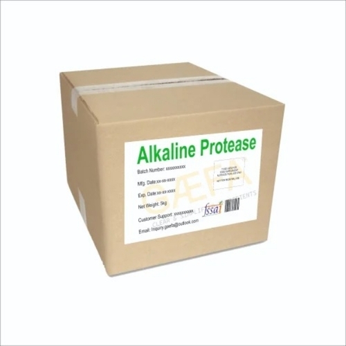 Alkaline Protease Food Enzymes