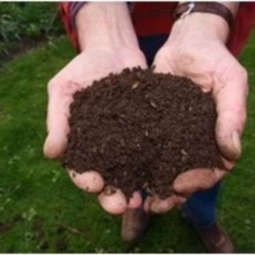 Powder Organic Bio Fertilizer