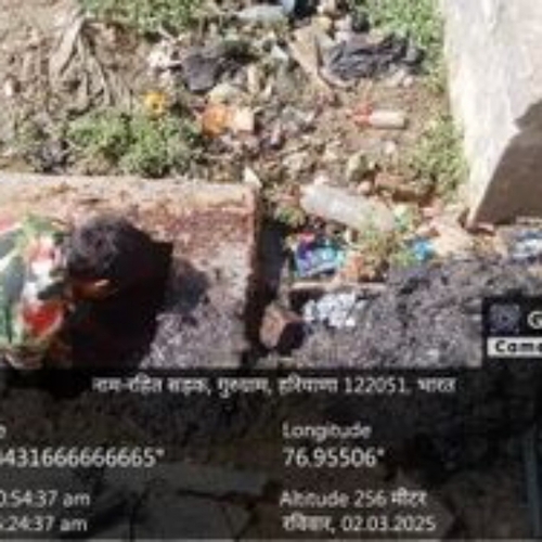 Sewer cleaning service