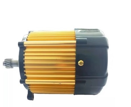 Three Phase 1250 W E Rickshaw Motor