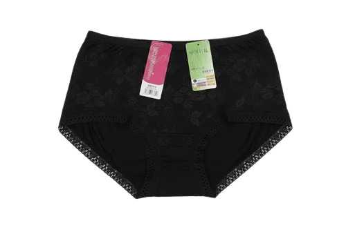 Womens Net Panties