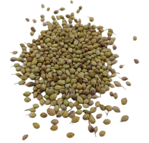 Natural Coriander Seed