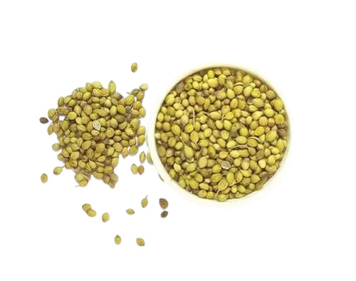 Organic Coriander