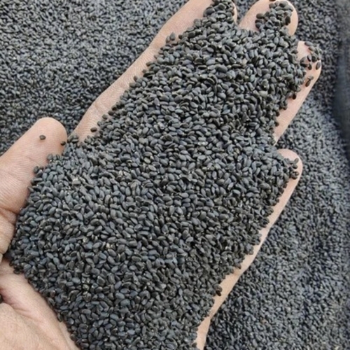 Basil Seeds Imported