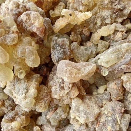 Boswellia Serrata Salai Guggal