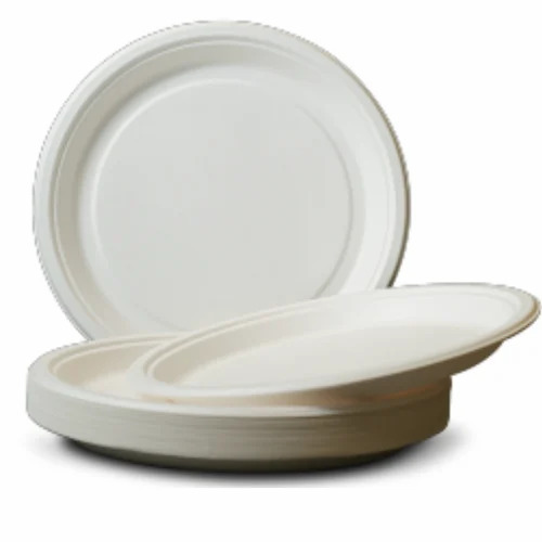 Sugarcane Bagasse 12 Inch Round Plate - Bagasse, 12 Inch, White | Disposable, Eco-Friendly, Lightweight