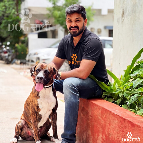 Trusted Dog Walker Delhi Dog Sathi