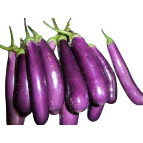 BRINAJL SEEDS VRAJ 1
