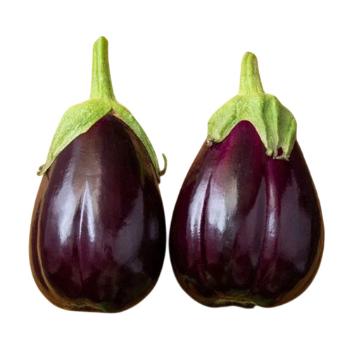 BRINAJL SEEDS VRAJ CHANAKYA F1