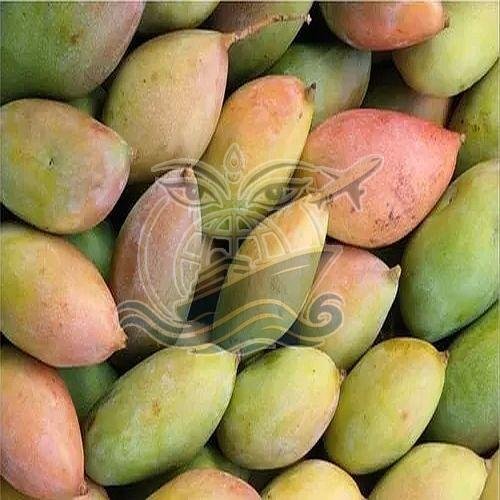 A Grade Fresh Totapuri Mango