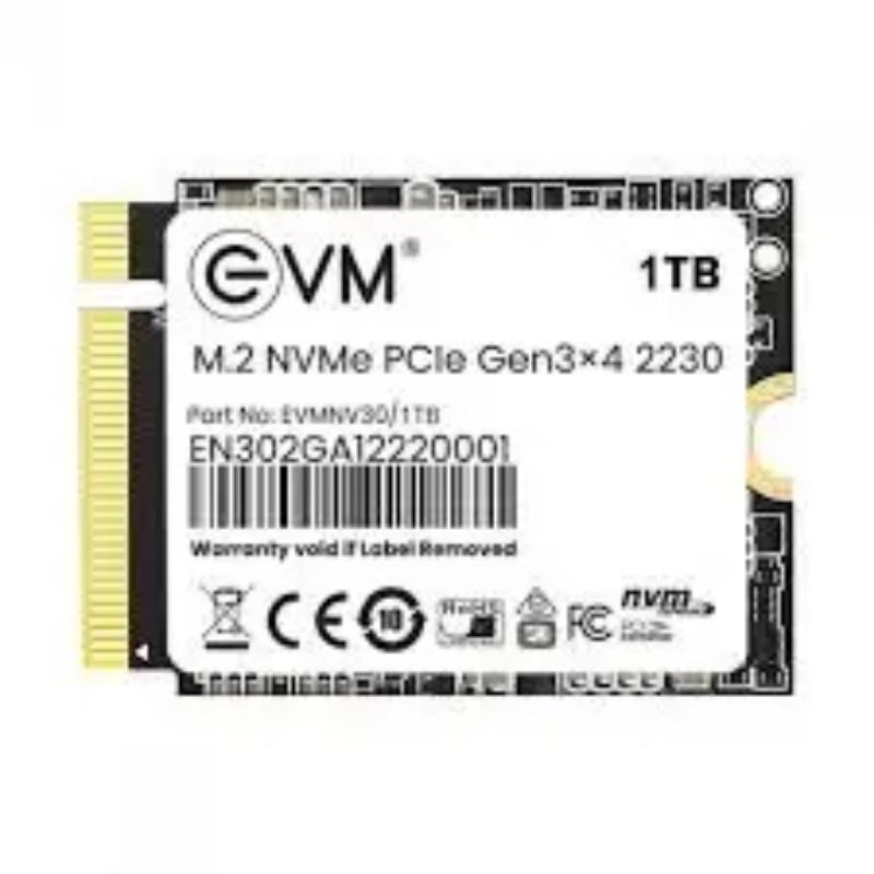 EVM 1TB M.2 NVMe PCIe 2230 SSD
