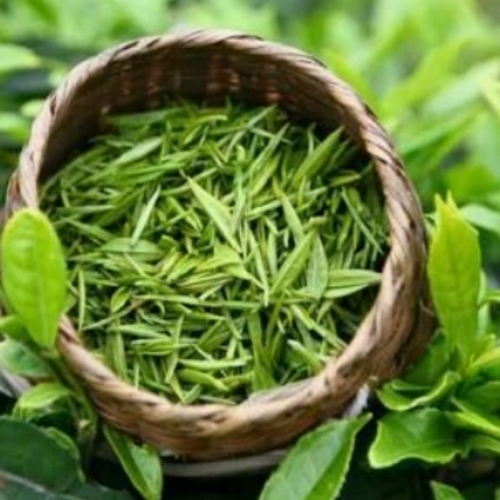 Green Tea - Health Benefits: Antioxidants