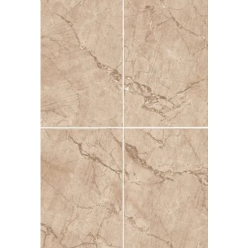 Elegant Finish Floor Tiles