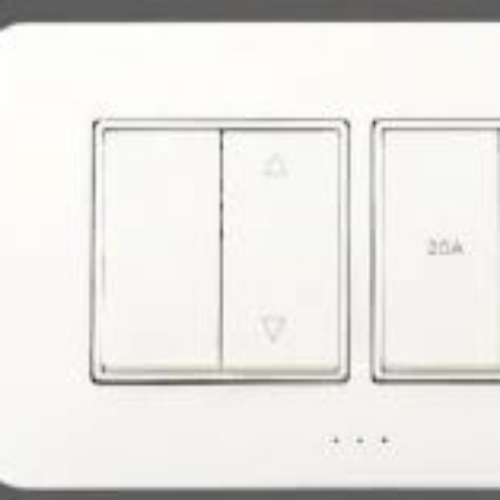 electric switch 20 Am