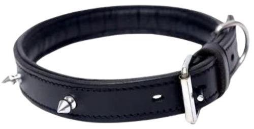 Leather Dog Collar