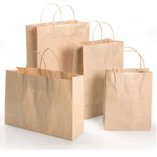 Shopping Paper Carry Bag