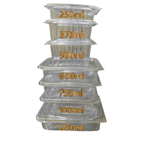 Plastic Hinged Container