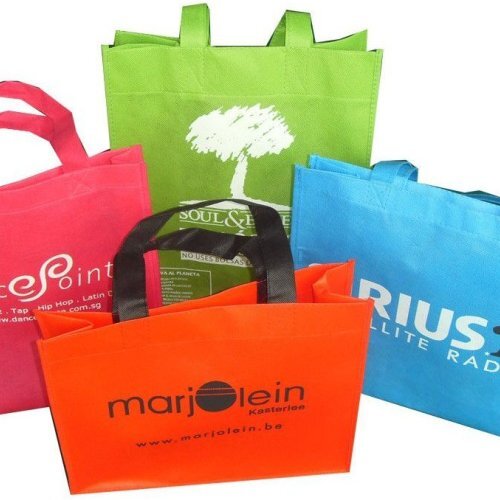 Printed Non Woven Carry Bag
