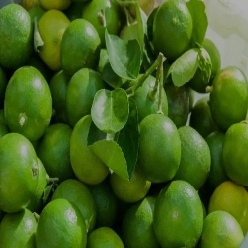 Fresh Lemons