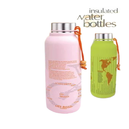 Plastic Insulated Water Bottle