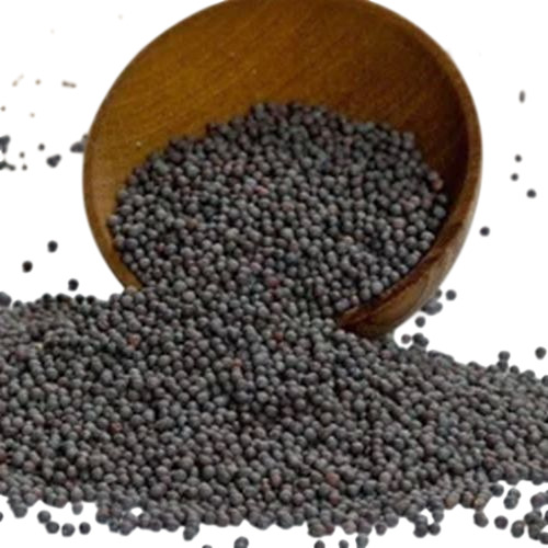 Black Mustard Seeds