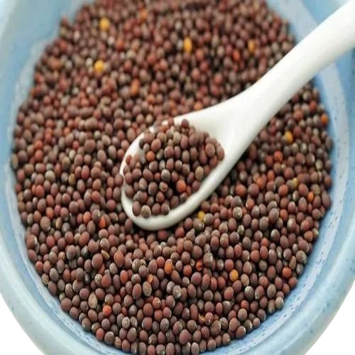 Brown Mustard Seeds