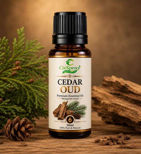 Cedar Oud