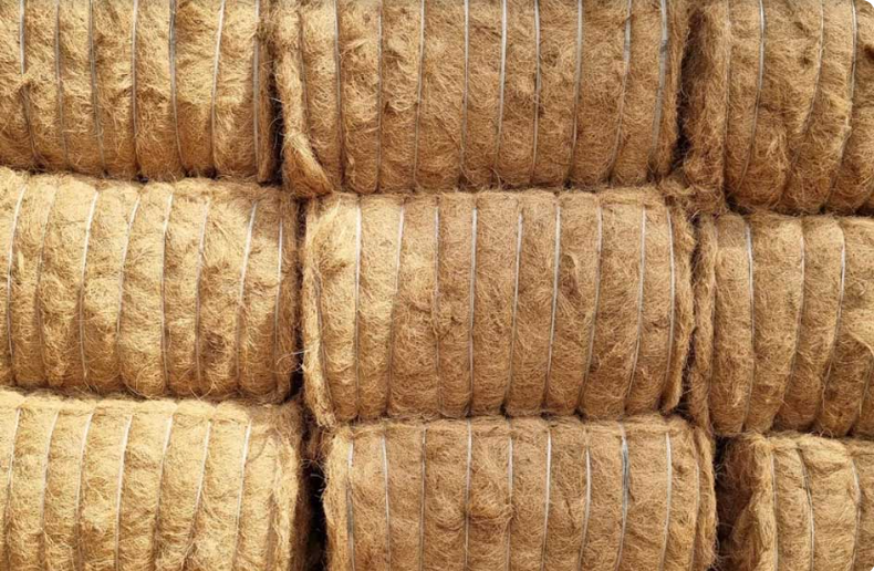 Coir Fibre - Attributes: Eco-friendly