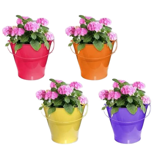 Coloured Plastic Pot