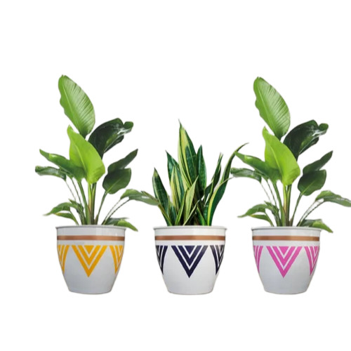 Coloured Plastic Pots