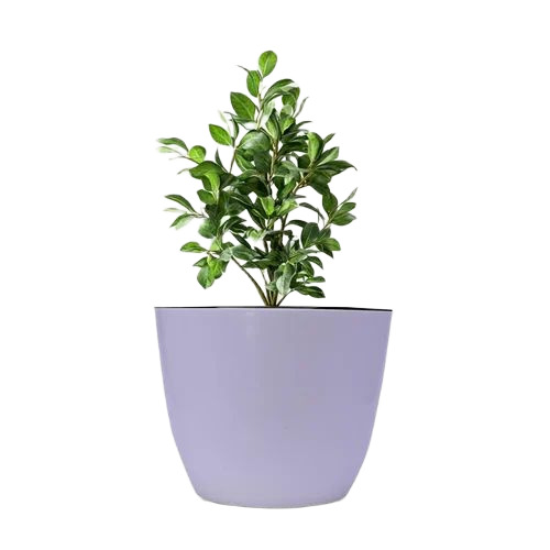 Hook Plastic Hanging Pot