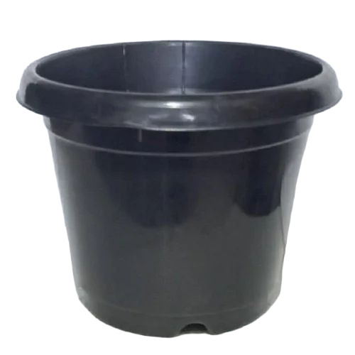 Plastic Pot 5 Inch