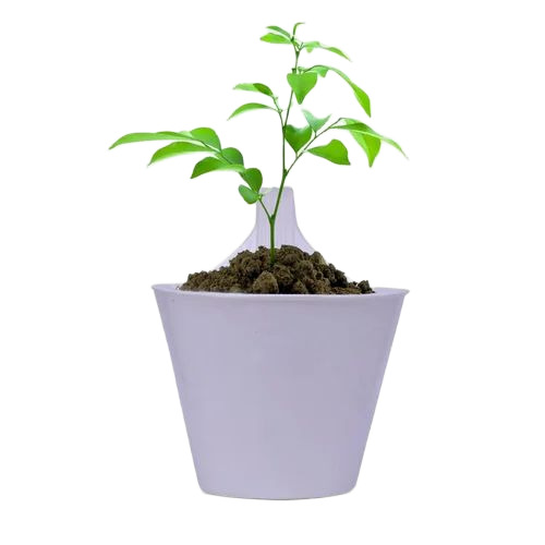 White Plastic Hanging Pot