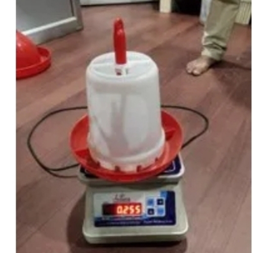 Chik Feeder