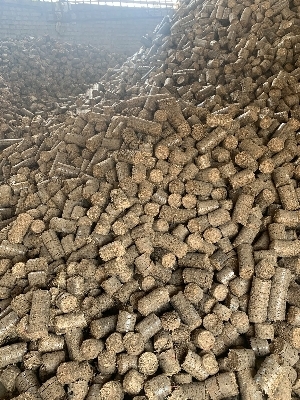 Cotton Stalk Briquettes