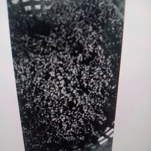 Black Hdpe Granules