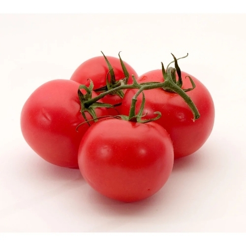 Fresh Tomatoes