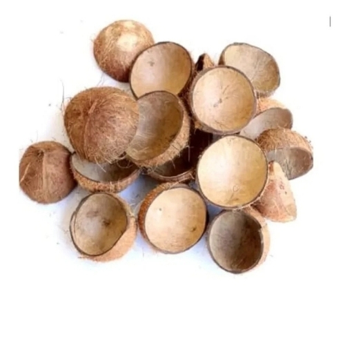 Natural Coconut Shell