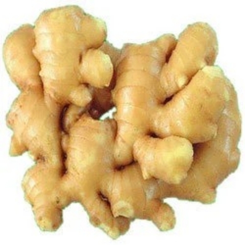 Organic Ginger