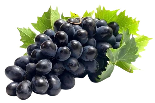 Black Grapes