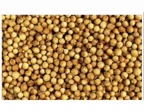 Coriander Seed