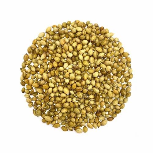 Dried Coriander Seed